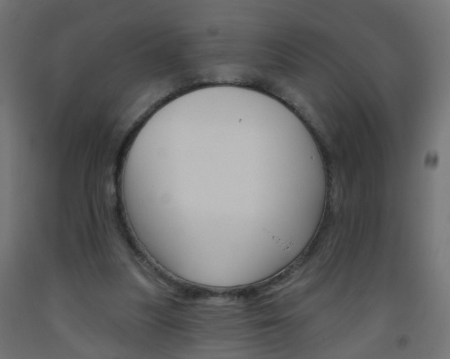 X0000093560251200710151002
