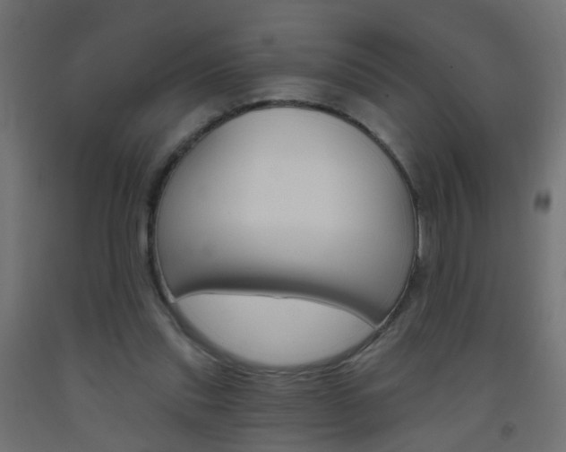 X0000093560253200710151002