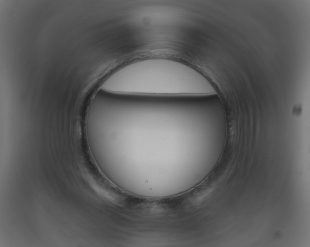 X0000093560254200710151002