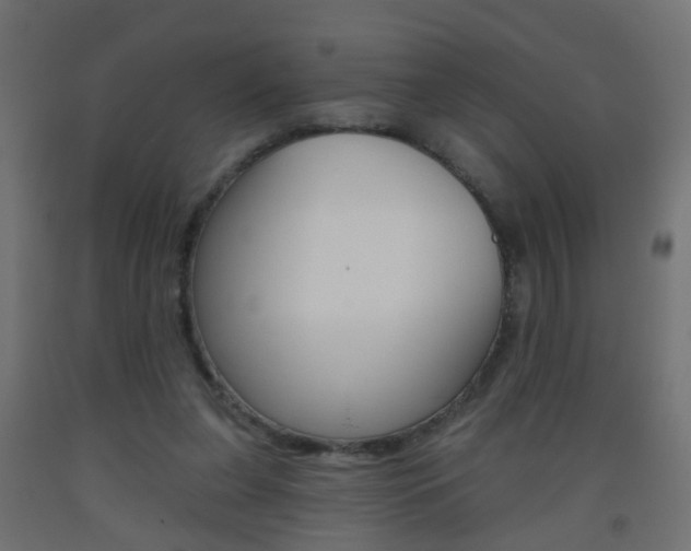 X0000093560255200710151002
