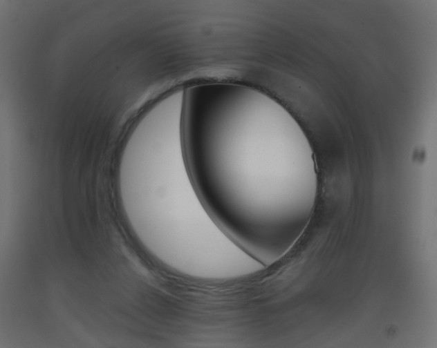 X0000093560256200710151002