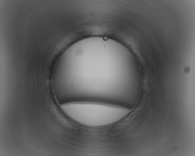 X0000093560257200710151002