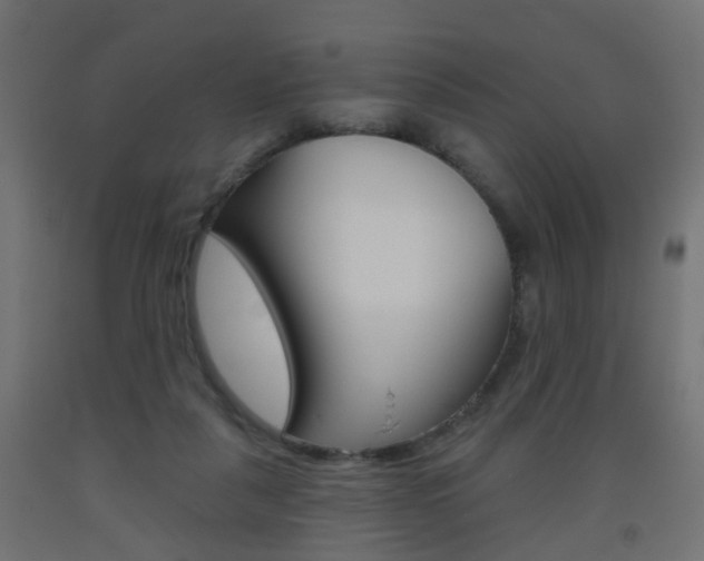 X0000093560259200710151002