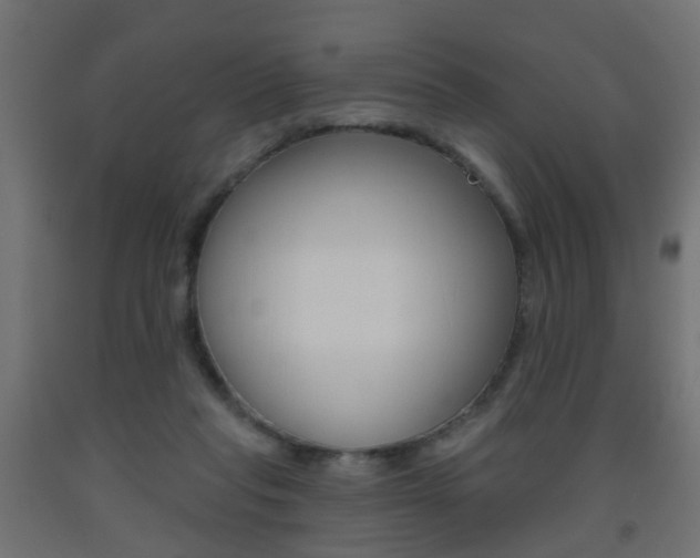 X0000093560261200710151002