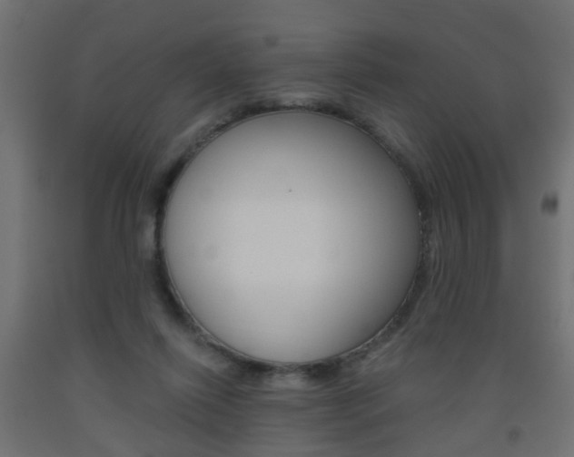 X0000093560262200710151002