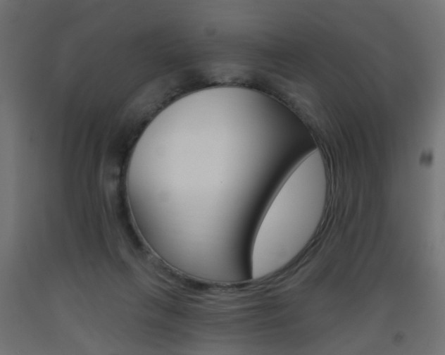 X0000093560263200710151002