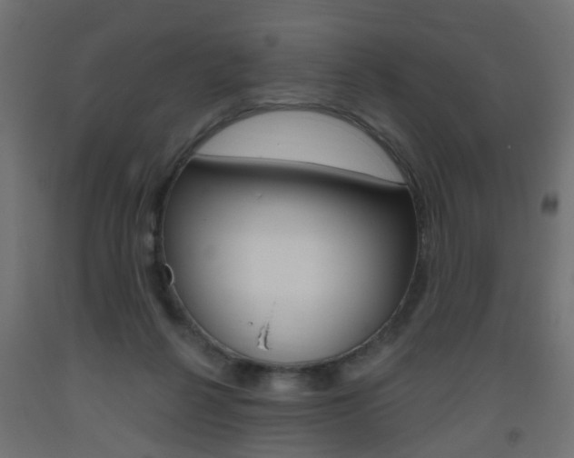X0000093560264200710151002