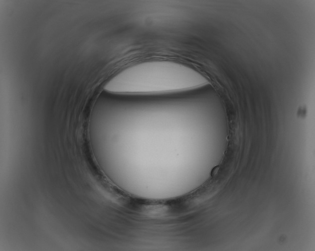X0000093560266200710151002