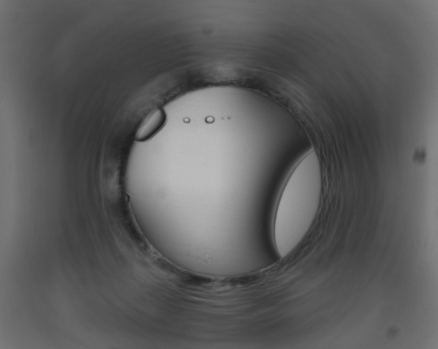 X0000093560267200710151002