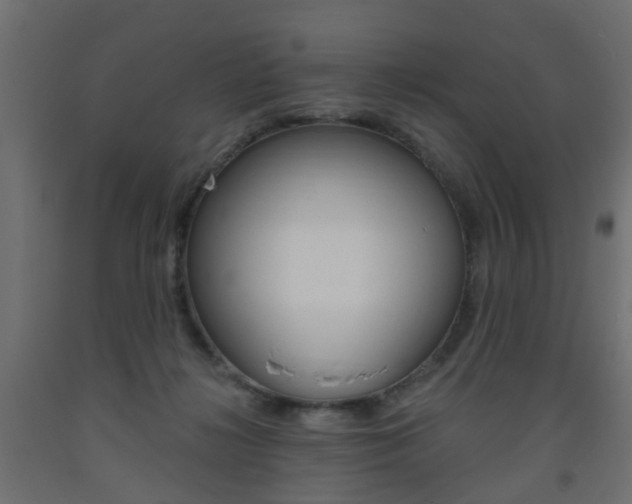 X0000093560268200710151002