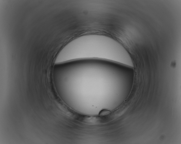 X0000093560269200710151002