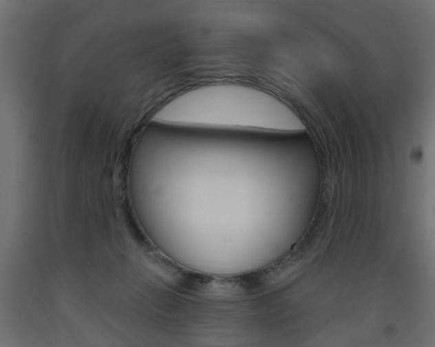 X0000093560270200710151002