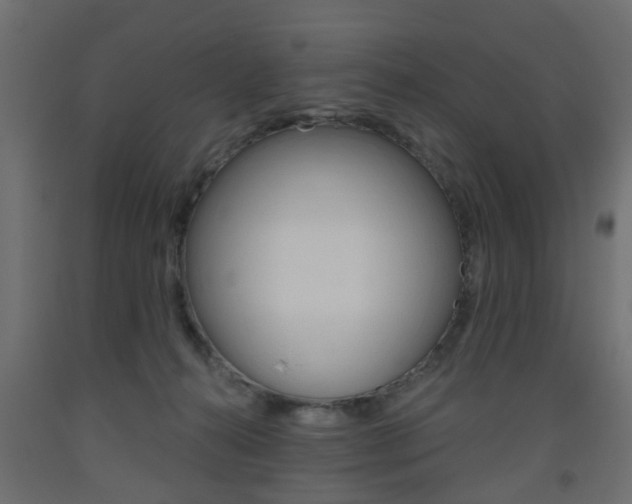 X0000093560272200710151002