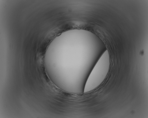 X0000093560276200710151002