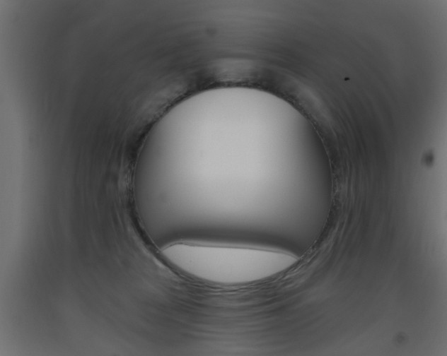 X0000093560277200710151002