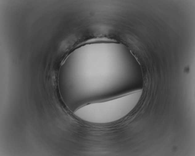 X0000093560280200710151002