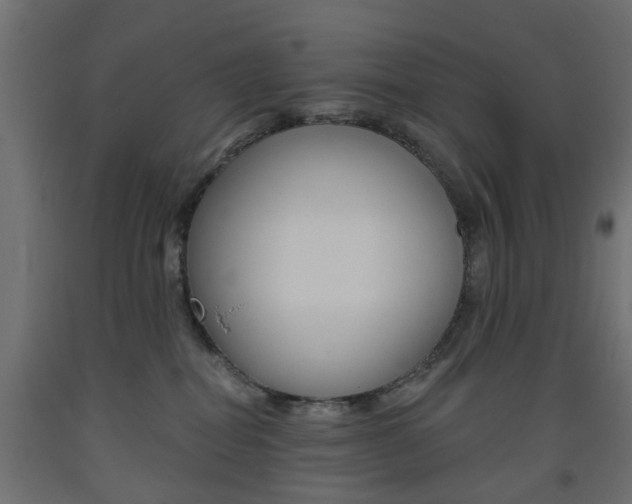 X0000093560282200710151002