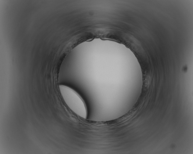 X0000093560283200710151002
