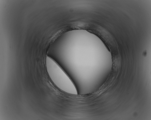 X0000093560284200710151002