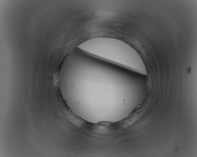 X0000093560285200710151002