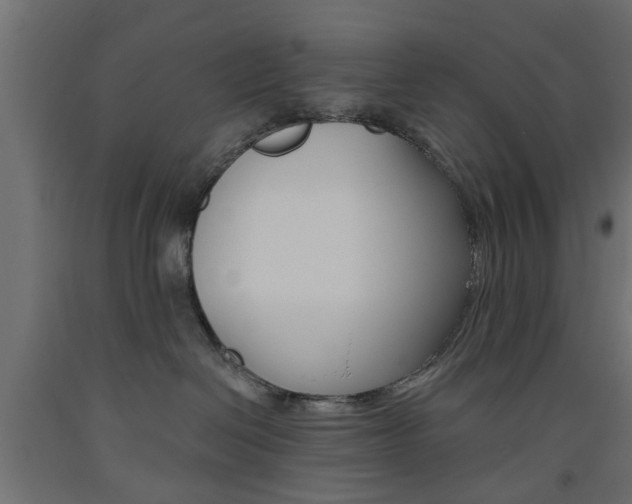 X0000093560286200710151002