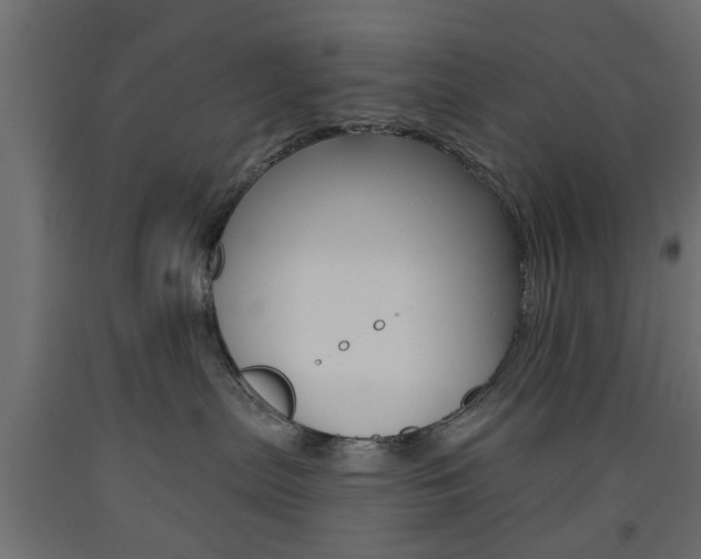 X0000093560287200710151002