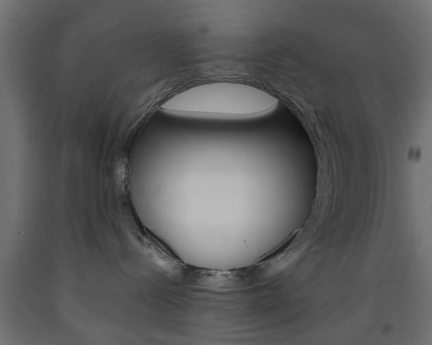 X0000093560288200710151002