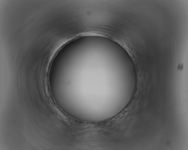 X0000093560289200710151002