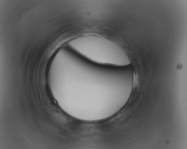 X0000093560291200710151002