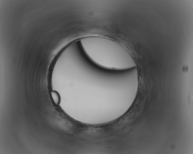 X0000093560292200710151002