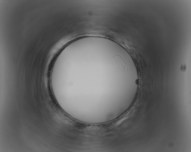 X0000093560294200710151002