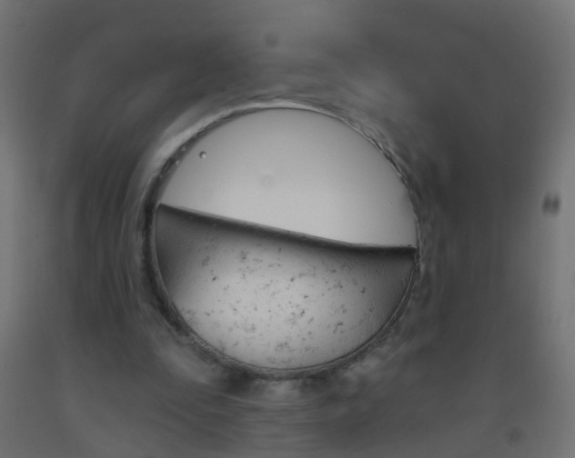 X0000093560295200710151002