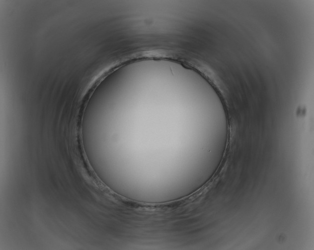 X0000093560297200710151001