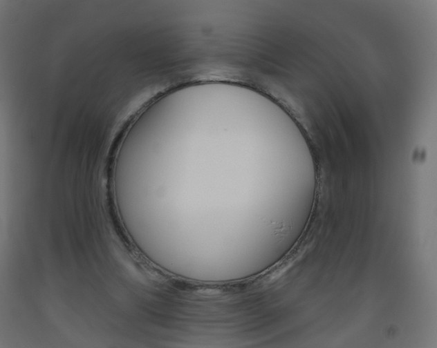 X0000093560298200710151001