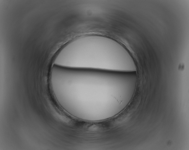 X0000093560299200710151001