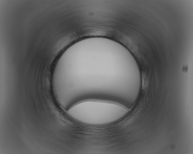 X0000093560300200710151001