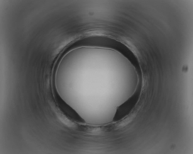 X0000093560301200710151001