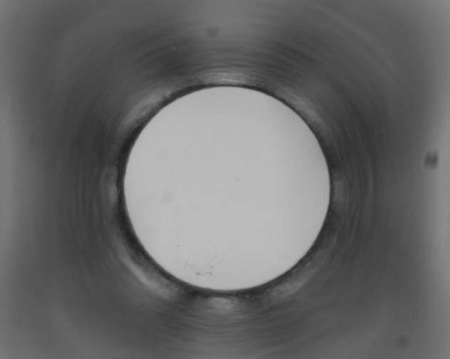 X0000093560302200710151001