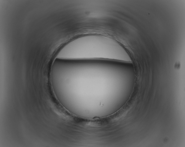 X0000093560303200710151001