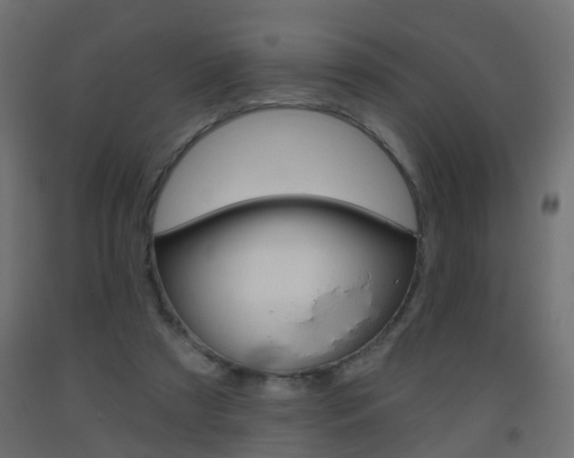 X0000093560305200710151001
