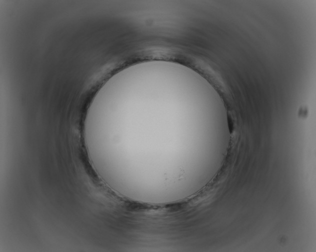 X0000093560306200710151001