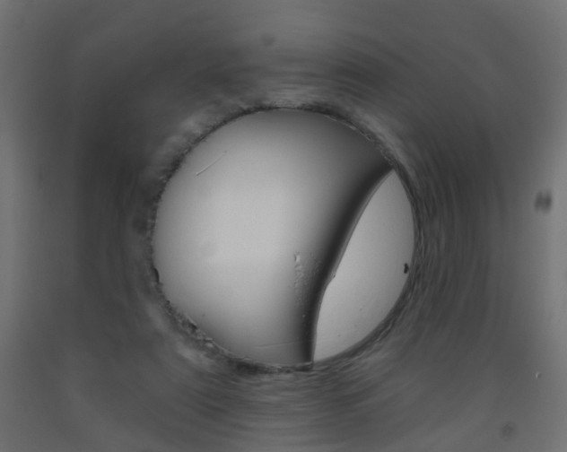 X0000093560307200710151001