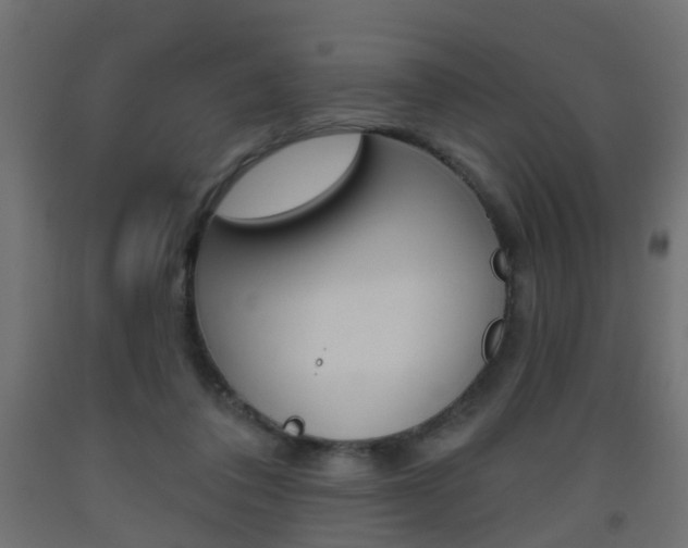X0000093560308200710151001