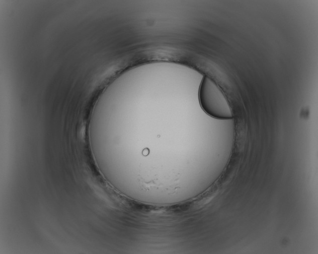 X0000093560310200710151001