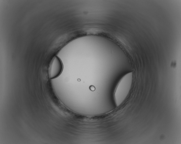 X0000093560311200710151001