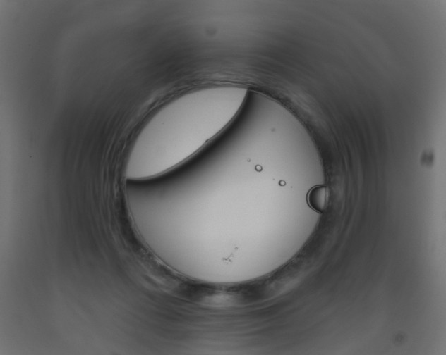 X0000093560312200710151001