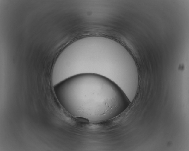 X0000093560313200710151001