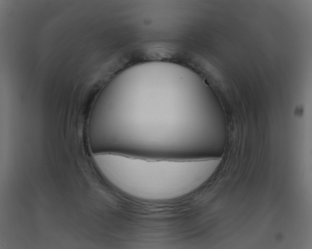 X0000093560315200710151001
