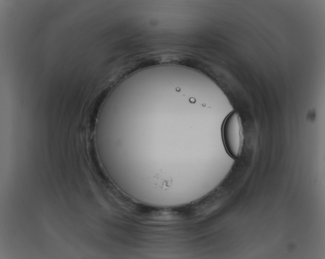 X0000093560316200710151001