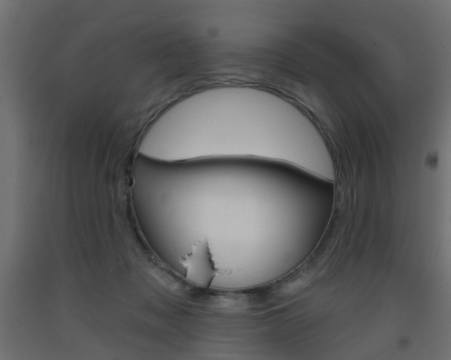 X0000093560317200710151001